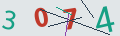 verifycode